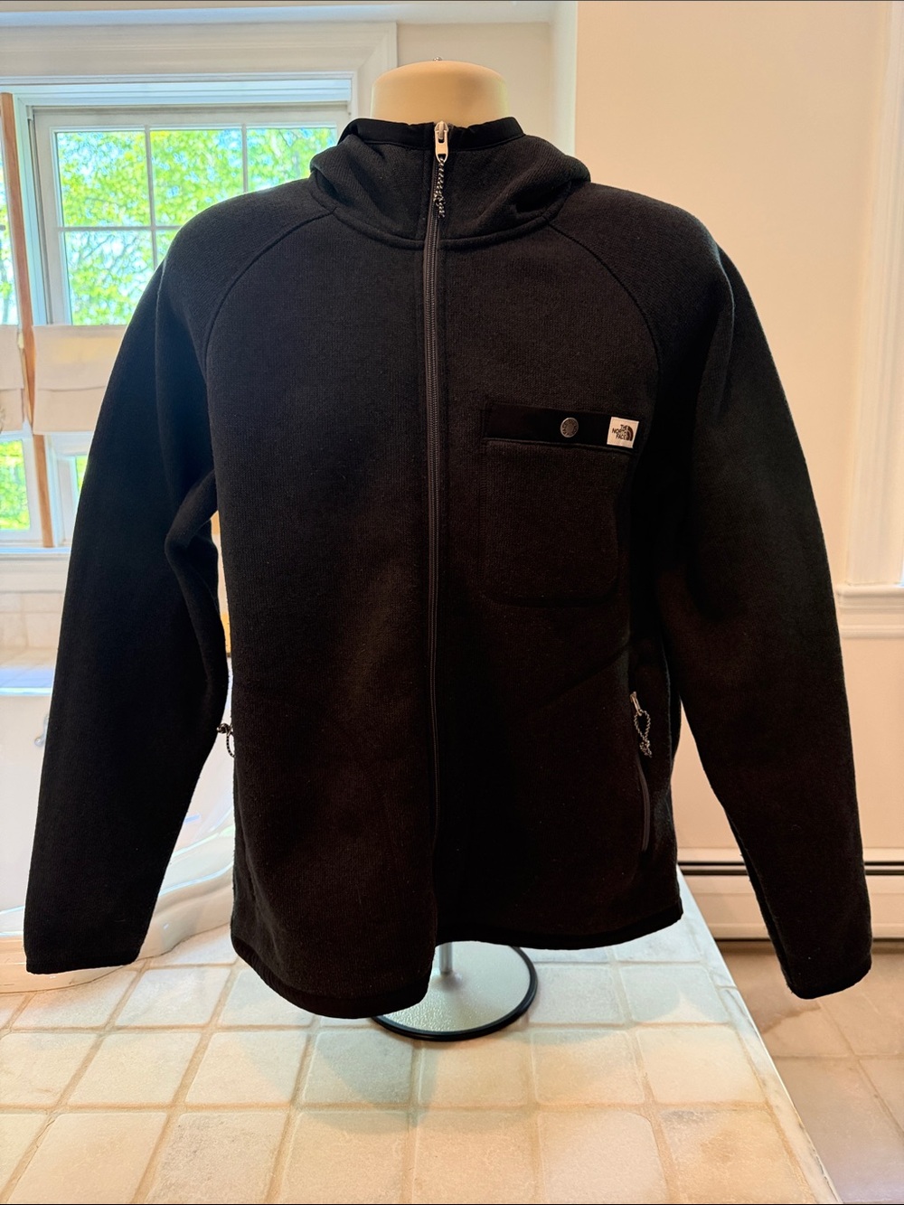 THE NORTH FACE GORDON LYONS FLEECE HOODIE MEN'S